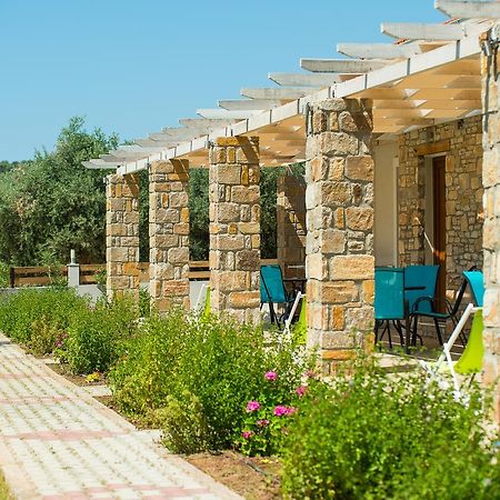 Olive Land Villas Limenaria  Eksteriør billede