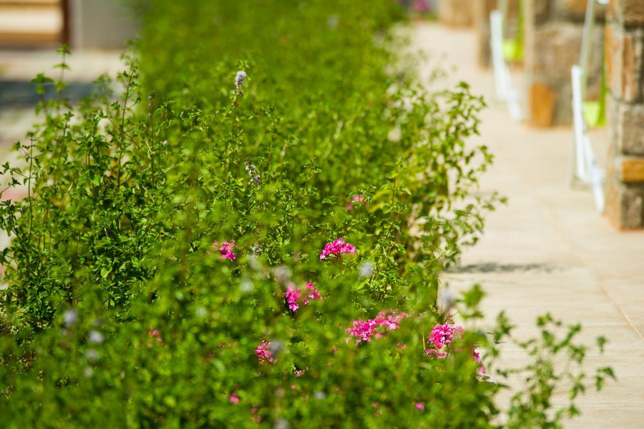 Olive Land Villas Limenaria  Eksteriør billede
